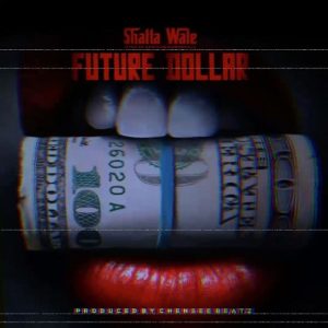 Shatta Wale - Future Dollar