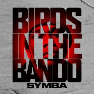 Symba - Birds In The Bando
