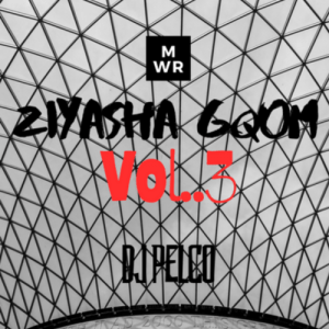 DJ Pelco - Ziyasha Gqom Vol.3 Mix