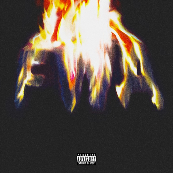 ALBUM: Lil Wayne - FWA