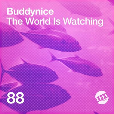 Buddynice – The World Is Watching
