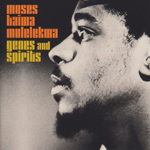 ALBUM: Moses Taiwa Molelekwa - Genes and Spirits