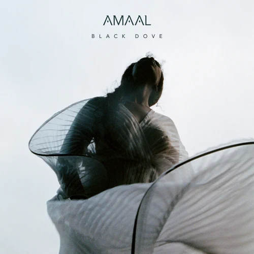 Amaal - Black Dove - EP