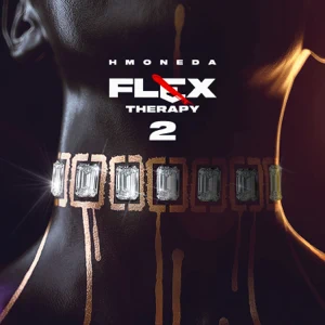 Album: H Moneda - Flex Therapy 2