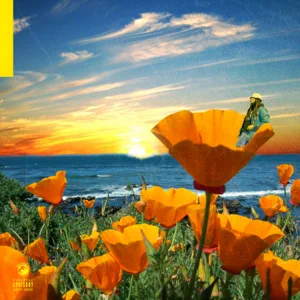 Album: Rexx Life Raj - California Poppy 2