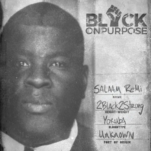 Album: Salaam Remi - Black On Purpose