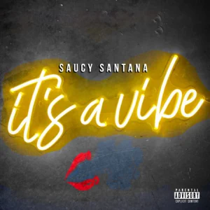 Album: Saucy Santana - It's a Vibe