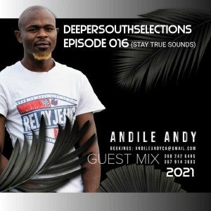 andileandy – dss episode 016 guest mix