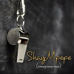 shaympempe – amapiano mix ft. dj mavuthela ribby de dj rhino