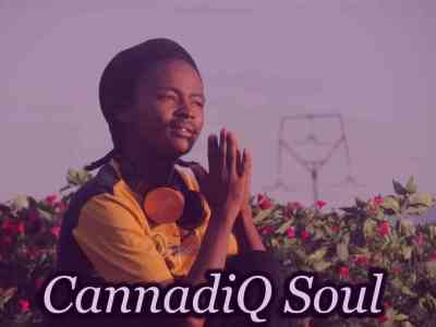 cannadiq soul – letter to kelvin momo twenty threeted mix