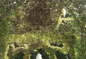 black motion – its you ft missp
