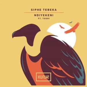 siphe tebeka – ndiyekeni mozaik remix ft. toshi