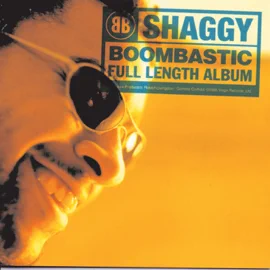 shaggy boombastic