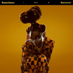 album little simz – sometimes i might be introvert