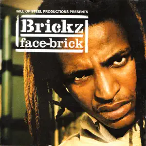 Face Brick Brickz