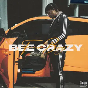 Bee Crazy Single Fredo Bang