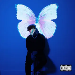 The Butterfly Effect Phora