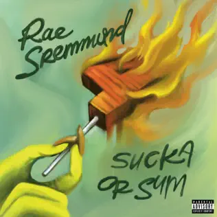 Rae Sremmurd Sucka Or Sum