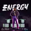 Boy Adequate – Energy feat. L.A Vibez