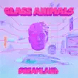 glass animals – dreamland