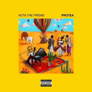 Protea Kota the Friend