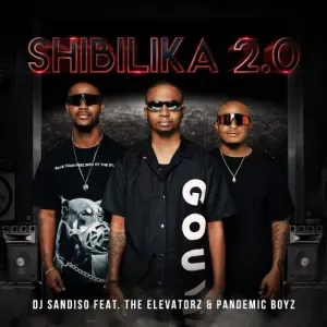 DJ Sandiso – Shibilika 2.0 ft. Pandemic Boyz The Elevatorz