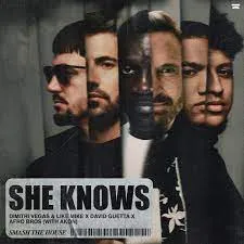 Dimitri Vegas – She Knows With Akon feat. Like Mike David Guetta Afro bros And Akon