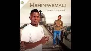 Album: Mshinwemali - Intombi Ayinkw’imali
