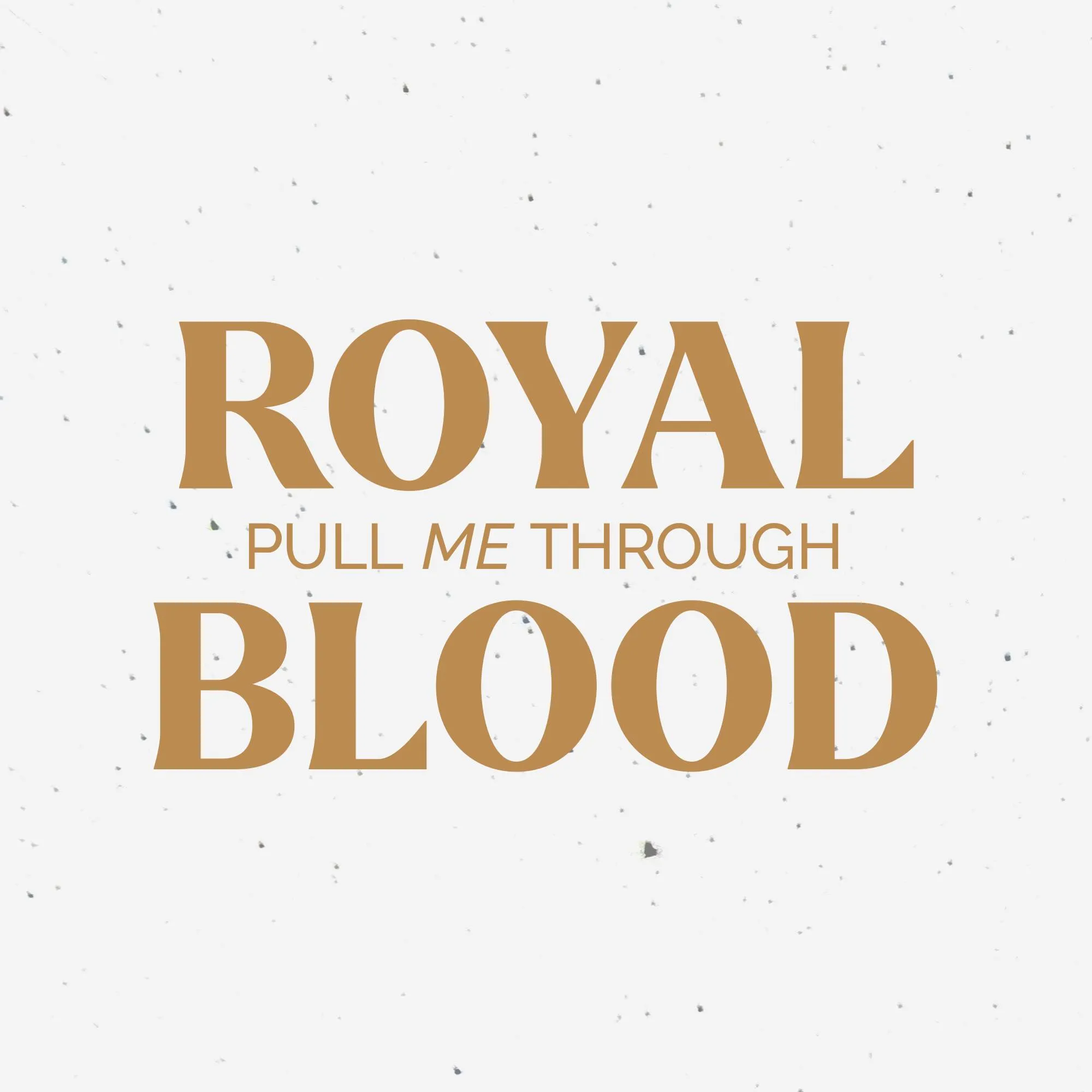 Royal Blood – Pull Me Through