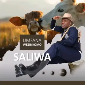 Saliwa – Amakhansela ayasebenza