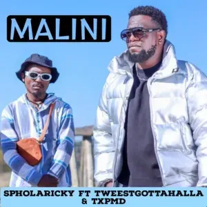 Sipho Eric Ndlovu – Malini ft. TxPMD Tweestgottahalla