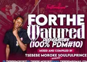 Tsebebe Moroke – For The Matured Promo Mixtape 100 Production Mix 10