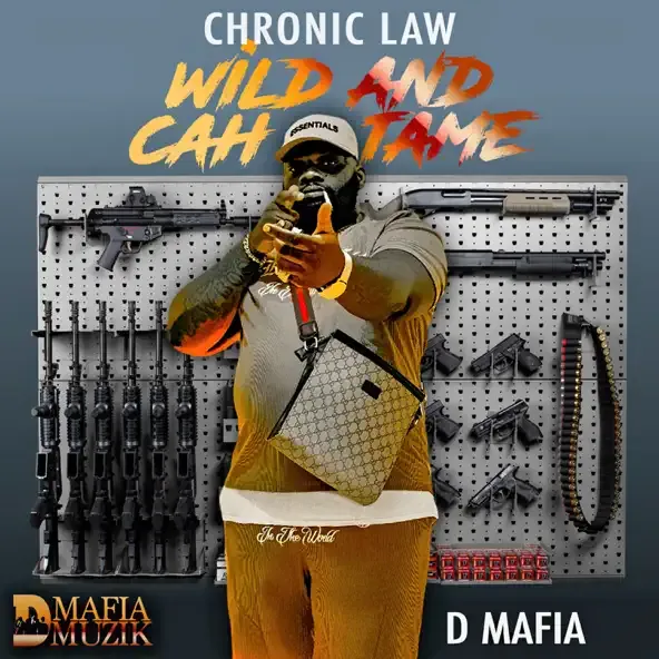 Chronic law – Wild and Cah Tame feat. D Mafia