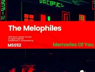 The Melophiles – Fragile Love Detonated Mix ft. Rowdy SA Herbs ZA