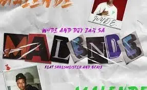W4DE Djy Zan SA – Malende ft. Shoesmeister NCAYB