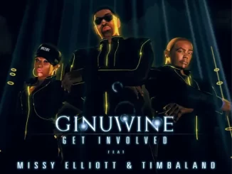 Get Involved (feat. Timbaland & Missy Elliott)