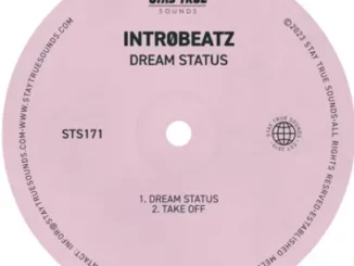 EP: Intr0beatz - Dream Status