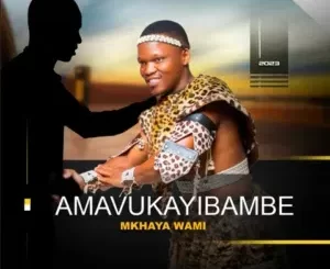 Album: Amavukayibambe - Mkhaya wami