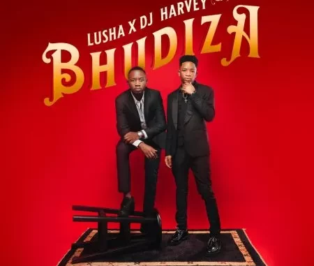 DJ Harvey & Lusha – Bhudiza ft TA MusiQ, Citykingrsa, JFS Music, Blvcknavy & Deeray