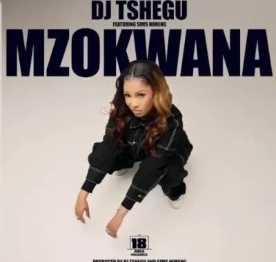 DJ Tshegu – Mzokwana ft Sims Noreng