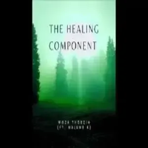 Woza Thobzin – The Healing Component ft. Malume K