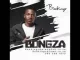 Bongza – Sunnyside mp3 download