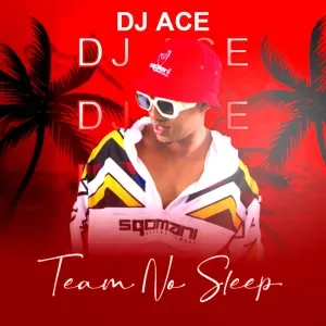 Album: DJ Ace - Team No Sleep