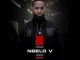 Ngelo V - Bluetick and Hotspot ft Onezwa Mchunu