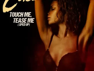 Touch Me, Tease Me (Re Recorded) [Sped Up] Single