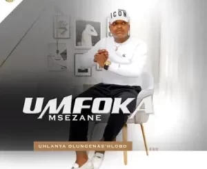 Umfoka Msezane - Ngajolisa ishende