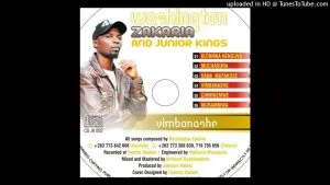 Washington Zakaria - VIMBANASHE