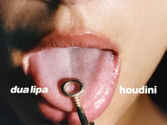 Dua Lipa Houdini (Extended Edit)