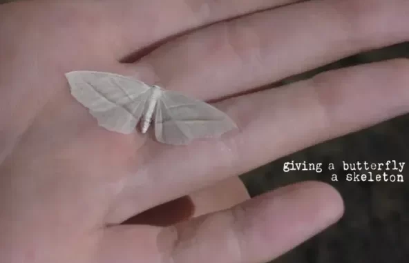 Giving a Butterfly a Skeleton EP
