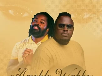 Big Zulu & Jmusic Amehlo Wakho